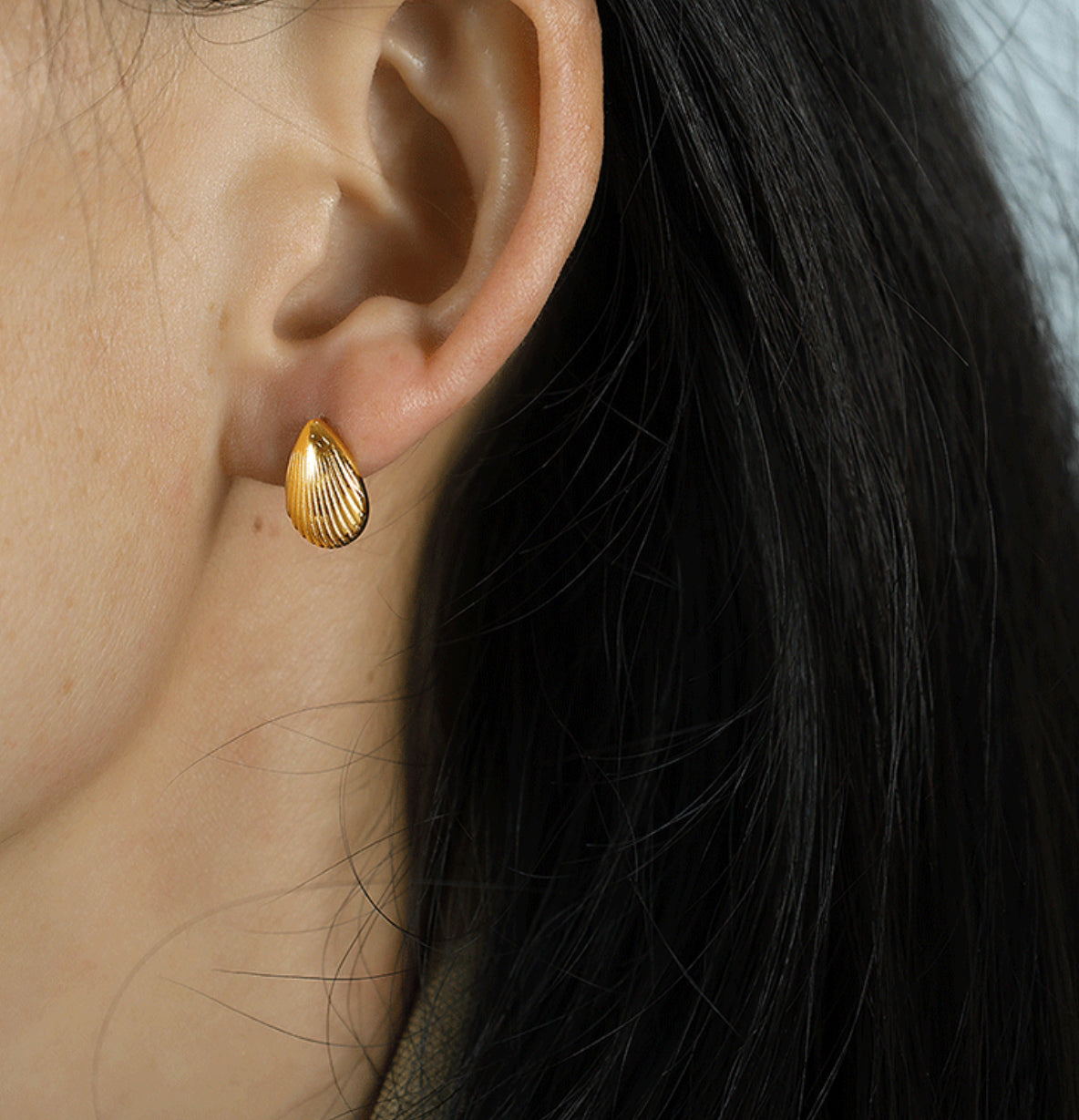 Brinco concha aço inoxidável